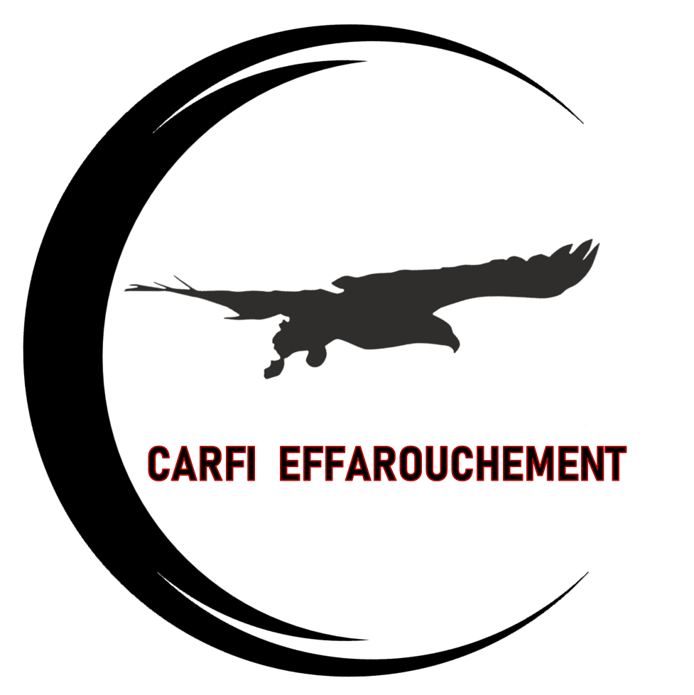 CARFI EFFAROUCHEMENT